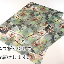 包装紙(B3×8枚＊2つ折り発送）／キウイの花と庭の小人たち 4枚目の画像