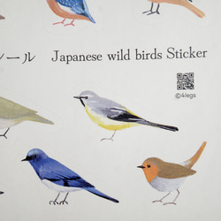 シール ＜日本の野鳥＞ 6枚目の画像