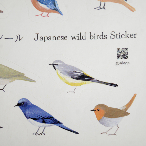 シール ＜日本の野鳥＞ 6枚目の画像