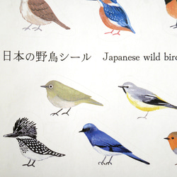 シール ＜日本の野鳥＞ 7枚目の画像