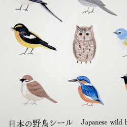 シール ＜日本の野鳥＞ 8枚目の画像