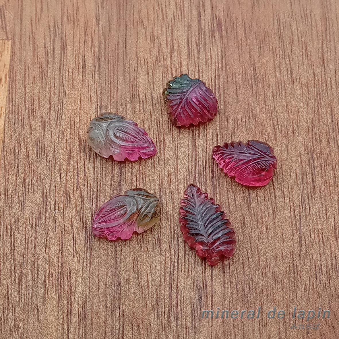 バイカラー トルマリン ５ピースセット 17.45カラット　リーフ カービング