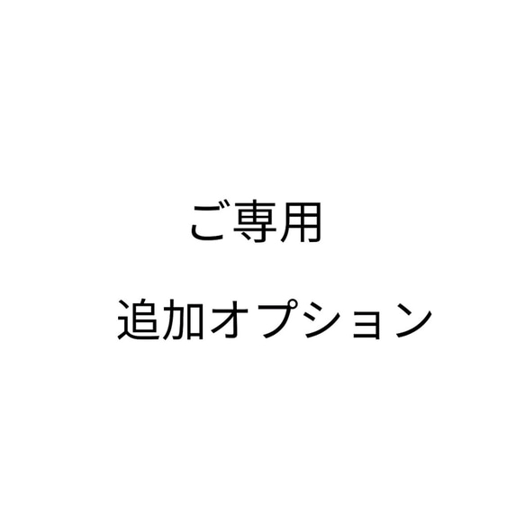 オプション追加のご専用ページです。 他のお客様はご購入をお控えください。 1枚目の画像