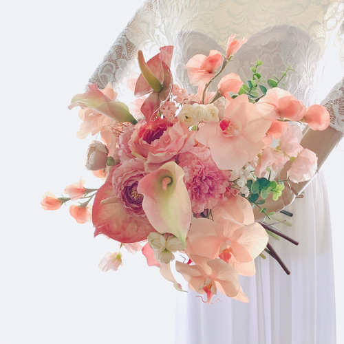 胡蝶蘭、アンスリウム、カラー ピーチファズ オレンジ