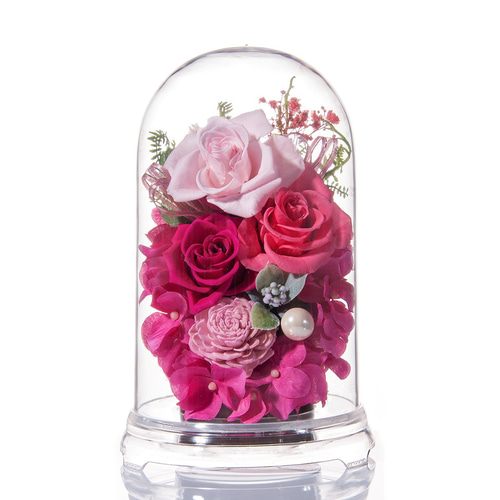 本州送料無料】メッセージ無料サービス。ドルチェピンクのドーム