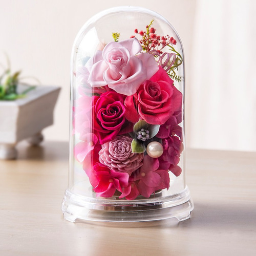 デスティニーローズ フェミニンピンク ガラスドーム付き 1250e2c60fb6c4caa03dd96d8eab0f
