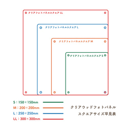  第6張的照片