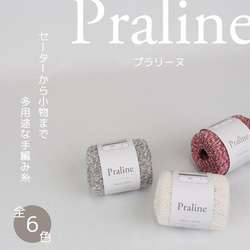 Praline プラリーヌ ≪小さなループがアクセント≫ [夏糸 毛糸 サマーヤーン ファンシーヤーン 2枚目の画像