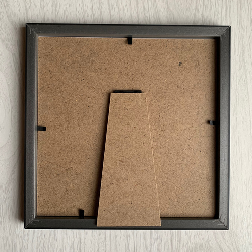 フレーム付き☆貼り絵☆イラスト☆ オペルクリカリア・パキプス