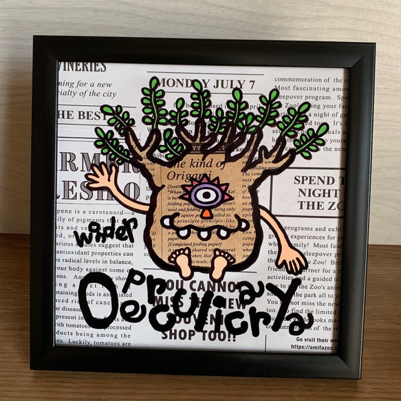 オペルクリカリア　パキプス　領収書可 オペルクリカリア パキプス 現地球 領収書可 オペルクリカリア