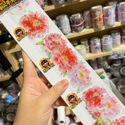 海外PETテープ 切り売り 人物 少年 イケメン 男 海外マステ コラージュ