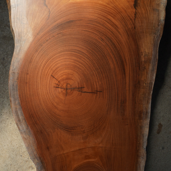 欅の輪切り 大きな楕円の一枚板ローテーブル （高さ・カラー変更無料） 12枚目の画像