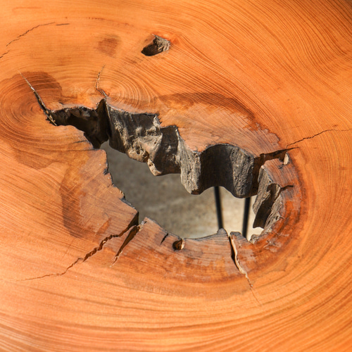 欅の輪切り 大きな楕円の一枚板ローテーブル （高さ・カラー変更無料