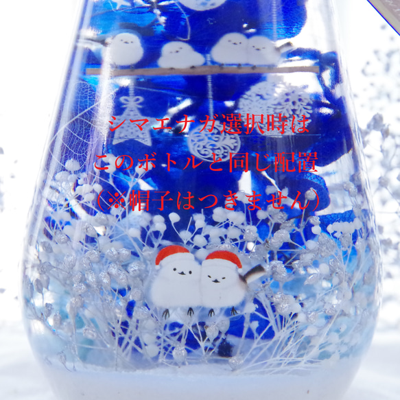【新作！選べる小鳥】シアワセの瓶ヅメ　アジサイの梅雨景色　揺れる青に癒される。水たまりに映り込むアジサイの花景色。 12枚目の画像