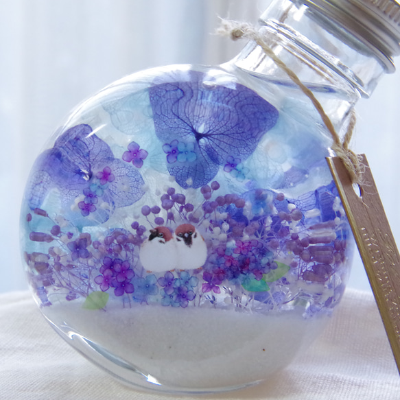 【新作！選べる小鳥】シアワセの瓶ヅメ　アジサイの梅雨景色　揺れる青に癒される。水たまりに映り込むアジサイの花景色。 9枚目の画像