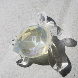 気泡と小粒オパールのウミガメオブジェ ～波紋～ ボロシリケイトガラス（水面模様） 3枚目の画像