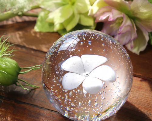 b7703522350a05a83eb893e3992c3f