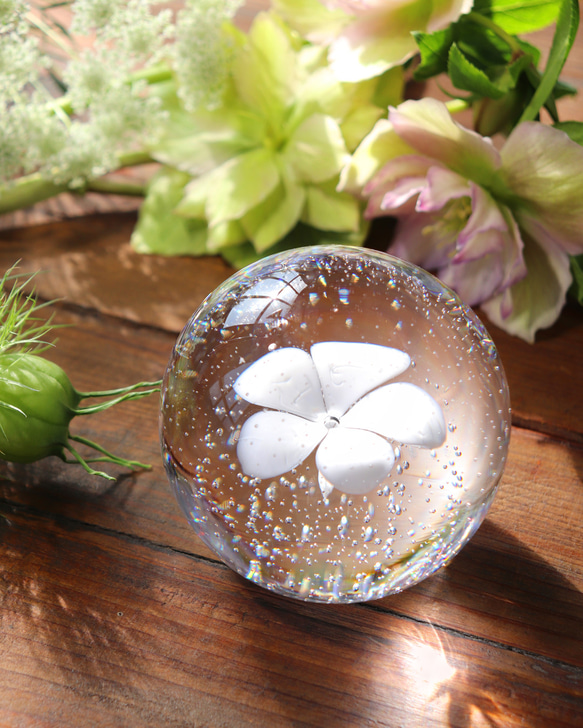 手元供養『こはる -水中花（ピュアホワイト）-』ガラス位牌 祈り メモリアル仏具 遺灰 遺骨 ペット 愛犬 愛猫 分骨 ご遺灰など ご遺骨 水中花 ピュアホワイト ご遺灰 ローマ字か平仮名 **