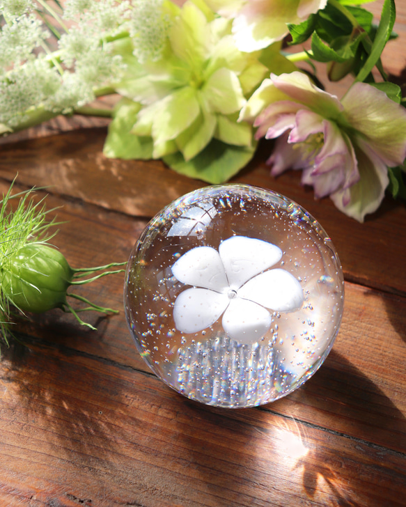 手元供養『こはる -水中花（ピュアホワイト）-』ガラス位牌 祈り メモリアル仏具 遺灰 遺骨 ペット 愛犬 愛猫 分骨 ご遺灰など ご遺骨 水中花 ピュアホワイト ご遺灰 ローマ字か平仮名 **