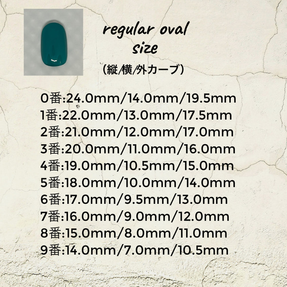 サイズ測定用チップ 4枚目の画像