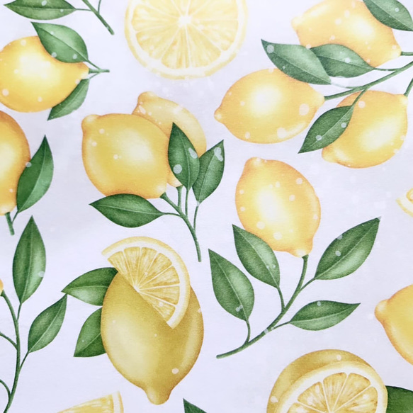 デザインペーパー　レモン　上質紙10枚 4枚目の画像