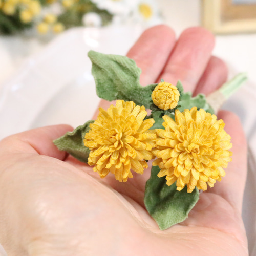 まりも様 ワンピース ライトイエローS