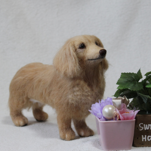 羊毛フェルト オーダー 「リアルで可愛いワンちゃん」ミニチュア