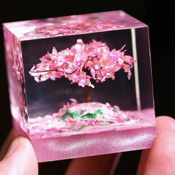 70853e098c80fb1aeb51b775c3cbbe