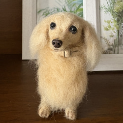 美しい子】ダックス【鼻先からお尻11cm】羊毛フェルト犬 手乗り