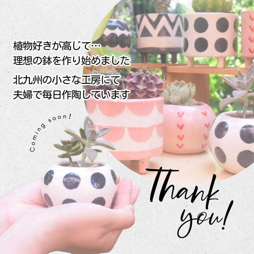 植物が喜ぶ植木鉢 陶器鉢 植物鉢 多肉鉢 多肉植物 多肉 観葉植物