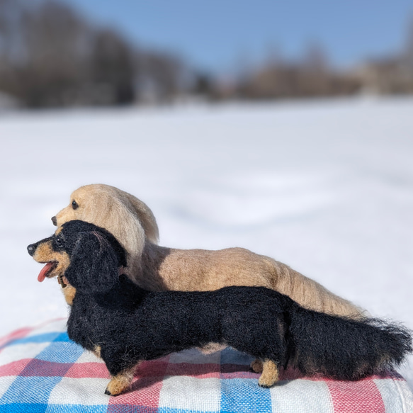 【いつも一緒に】ダックス【鼻先からお尻10.5cm】羊毛フェルト犬 ダックスフンド ブラタン ペットロス お出かけ 16枚目の画像