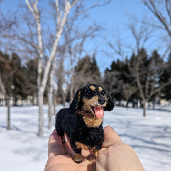 【いつも一緒に】ダックス【鼻先からお尻10.5cm】羊毛フェルト犬 ダックスフンド ブラタン ペットロス お出かけ 2枚目の画像