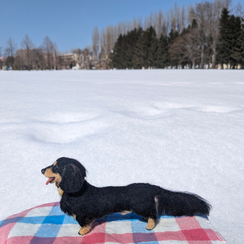 いつも一緒に】ダックス【鼻先からお尻10.5cm】羊毛フェルト犬 手乗り