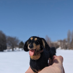 【いつも一緒に】ダックス【鼻先からお尻10.5cm】羊毛フェルト犬 ダックスフンド ブラタン ペットロス お出かけ 13枚目の画像