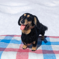 【いつも一緒に】ダックス【鼻先からお尻10.5cm】羊毛フェルト犬 ダックスフンド ブラタン ペットロス お出かけ 5枚目の画像