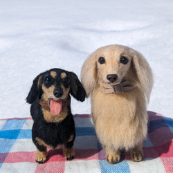 【展示品販売】ダックス【鼻先からお尻10.5cm】羊毛フェルト犬 ダックスフンド ブラタン ペットロス お出かけ 14枚目の画像