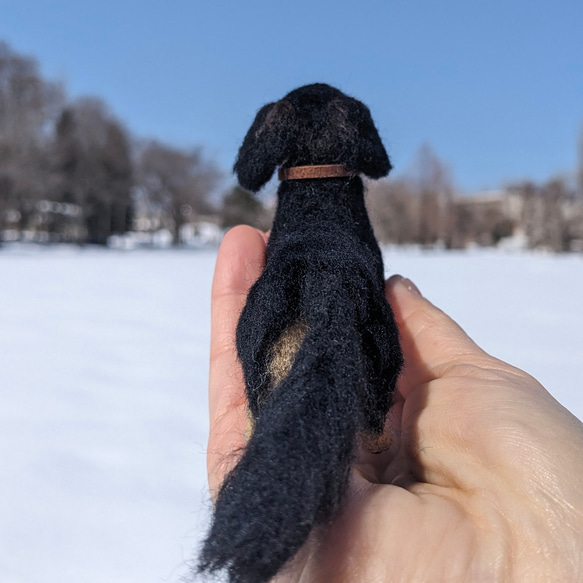 【展示品販売】ダックス【鼻先からお尻10.5cm】羊毛フェルト犬 ダックスフンド ブラタン ペットロス お出かけ 3枚目の画像