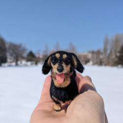 【いつも一緒に】ダックス【鼻先からお尻10.5cm】羊毛フェルト犬 ダックスフンド ブラタン ペットロス お出かけ 1枚目の画像