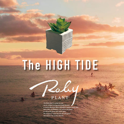 【ミニ鉢｜The HIGH TIDE_H50mm】セメント仕様_盆栽やオブジェに最適｜ロビー・ハンソンのハンドクラフト 7枚目の画像