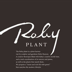 【ミニ鉢｜The RAINY DROPS_H50mm/白】セメント仕様_盆栽や置物に｜ロビー・ハンソンのハンドクラフト 12枚目の画像
