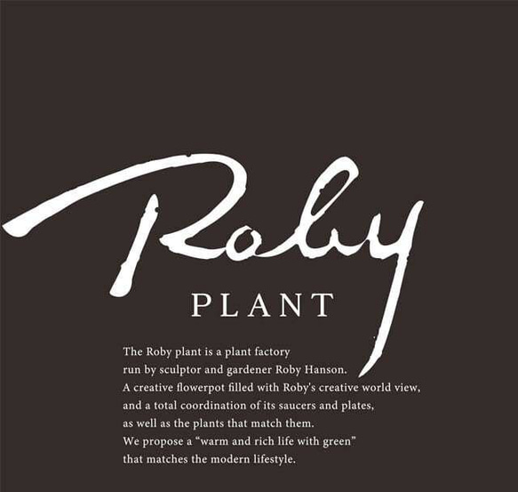 【ミニ鉢｜The RAINY DROPS_H50mm/白】セメント仕様_盆栽や置物に｜ロビー・ハンソンのハンドクラフト 12枚目の画像