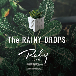 【ミニ鉢｜The RAINY DROPS_H35mm/白】セメント仕様_盆栽や置物に｜ロビー・ハンソンのハンドクラフト 6枚目の画像