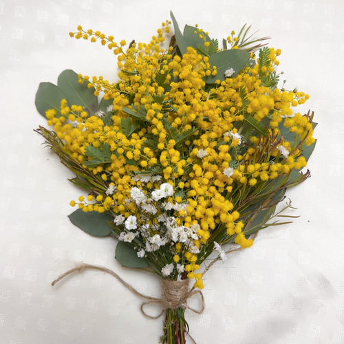 ミモザ ドライフラワー ナチュラルスワッグ スワッグ Satsuki 通販