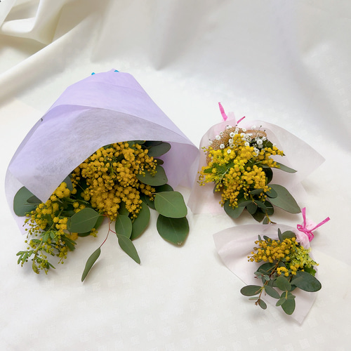 ミモザ ドライフラワー ナチュラルスワッグ スワッグ Satsuki 通販