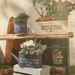 《可愛いアンティーク鉢 》シャッセワイドジョーロ 観葉植物 多肉植物 お花寄せ植え ブリキ缶 アンティーク 543 2枚目の画像