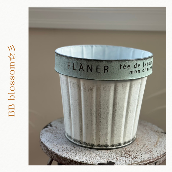 可愛いブリキアンティーク鉢 》フラネサークル 観葉植物 多肉