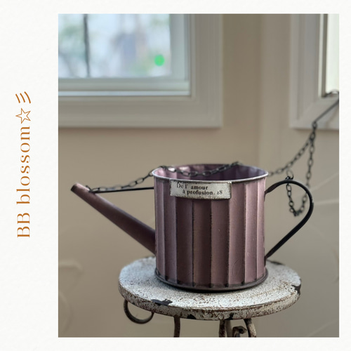 可愛いハンギングアンティーク鉢 》ドゥラモージョーロ 観葉植物 多肉