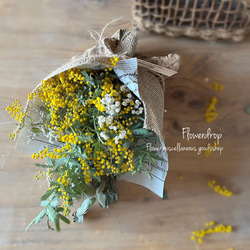 【新品タグ付き未開封】 スプリングフラワーシャーリングレギンス ミモザ Ｌサイズ NEW ARRIVALS - SUKALA（スカーラ）