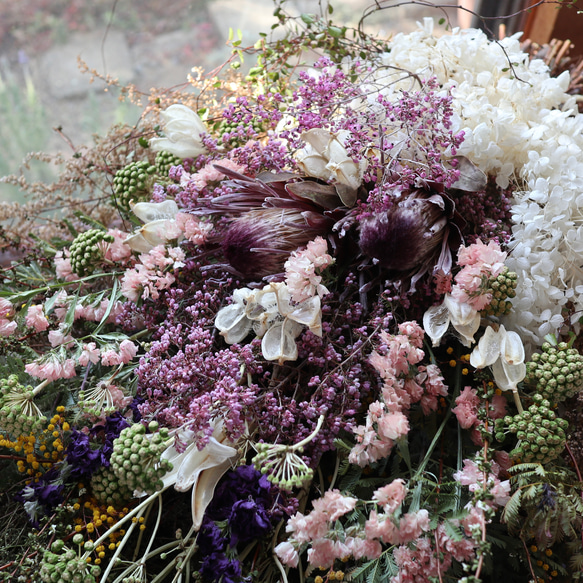 (75cm) ＊特大＊ワイルドフラワーと春のお花のボリュームスワッグ/ドライフラワー/プロテア/ミモザ/開店祝い 12枚目の画像