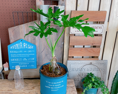 3eb4e0396fb1d0777b5b9746a4675d